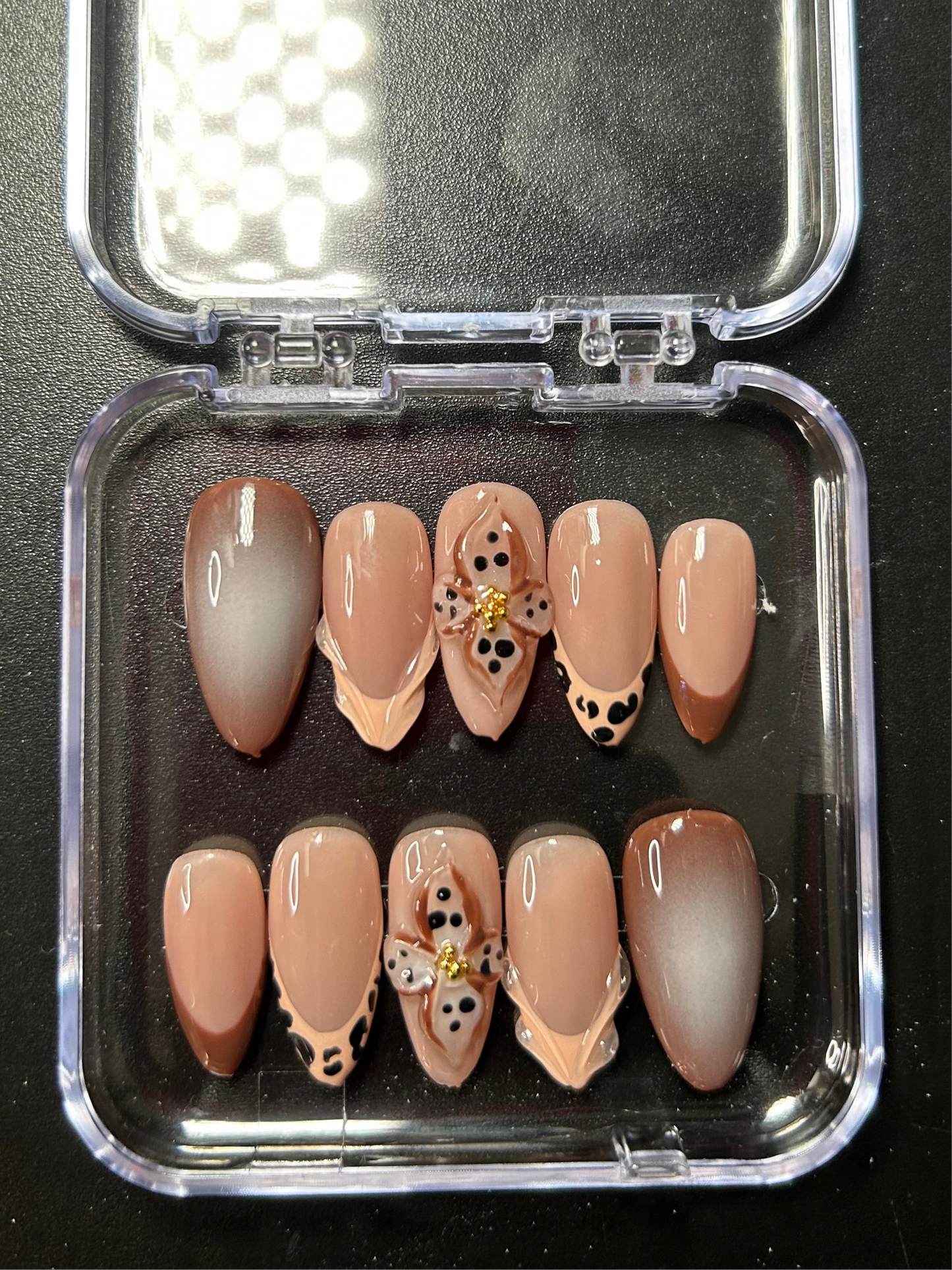 Chocolate Cheetah